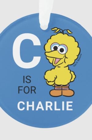 Big Bird | Personalized Name with Photo Ornament