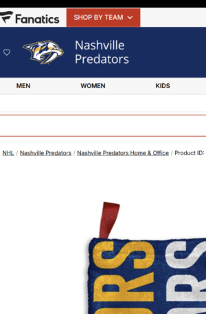 Nashville Predators Chad & Jake Personalized Holiday Stocking