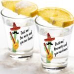 Cactus Cartoon Tequila Shot Glass Cactus Tequila Shot Glass
