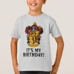 harry_potter_gryffindor_its_my_birthday_t_shirt